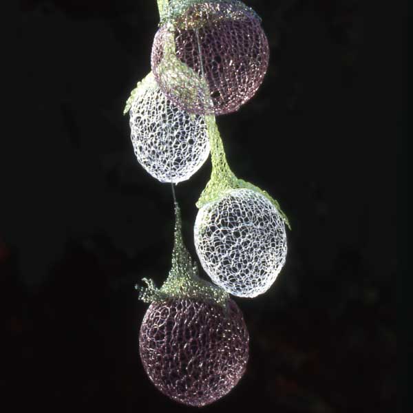 Aubergine Earrings|Aubergines 2005<br/>earrings<br/>knitted dyed nylon<br/>length: 10cm / 4 inches <br/><br/>Aubergine is one of my favourite vegetables. Their sculptural shape, colour and glossy skin has captured my imagination. Made into earrings it looks as if the fruits are growing out of the wearer's ear lobes. Part of Nylon Botanicus collection.